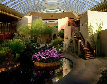 Work:&nbsp;Orchid show, Boulders Resort, Arizona
